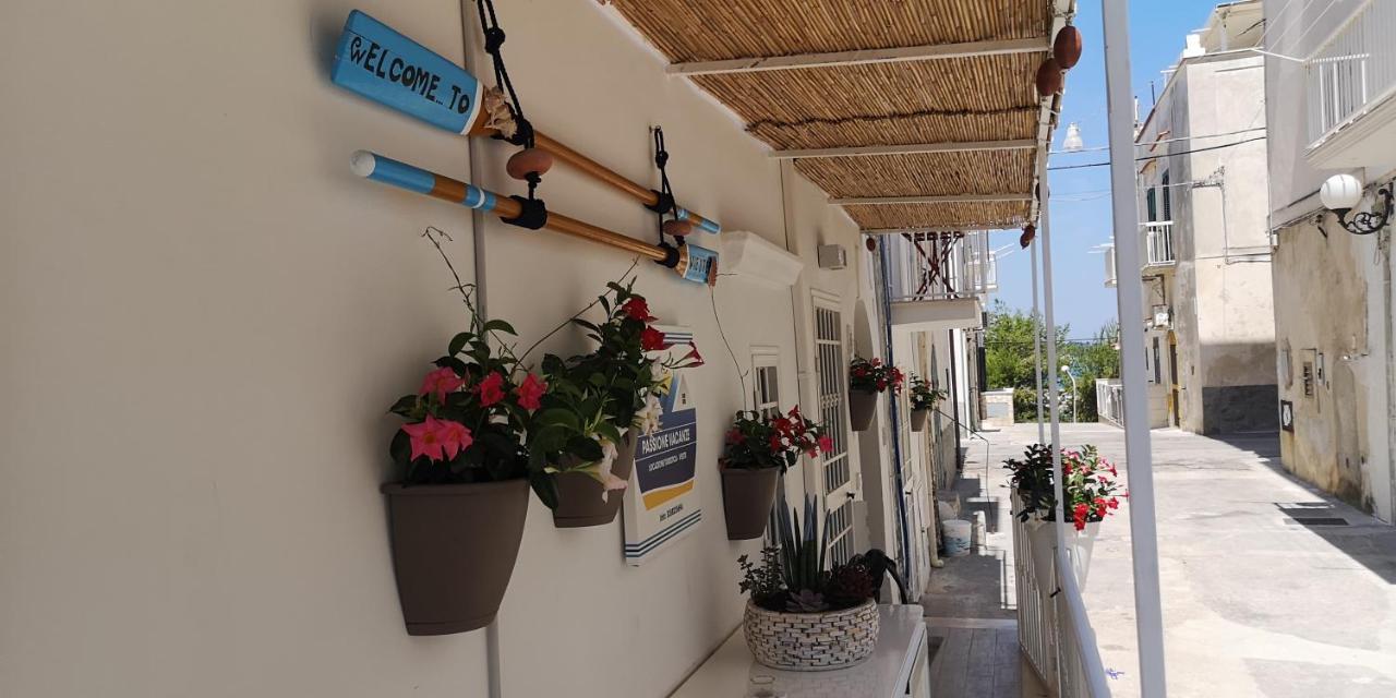 Passione Vacanze Vieste Zewnętrze zdjęcie